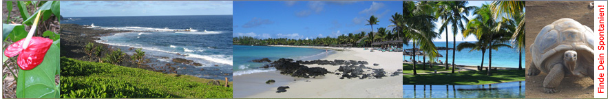 Mauritius Urlaub günstig buchen