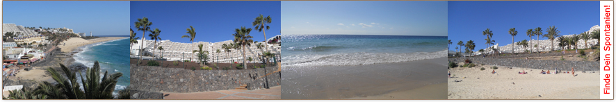 Urlaub im Hotel Riu Calypso billig buchen